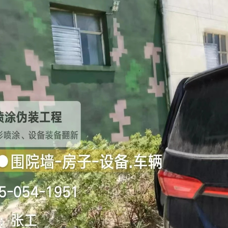 陇南数码迷彩漆施工
